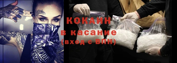 прущие грибы Арсеньев