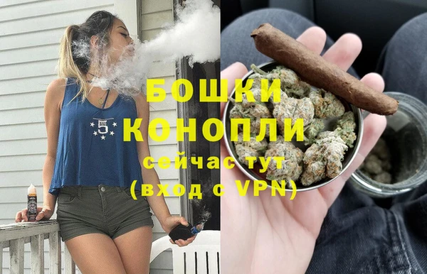 стаф Аркадак