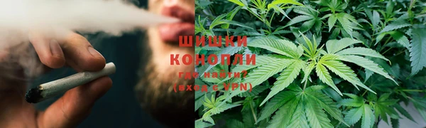 прущие грибы Арсеньев