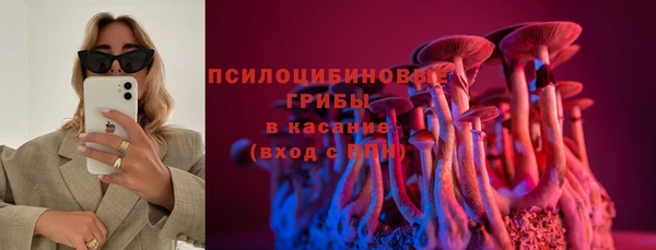 стаф Аркадак