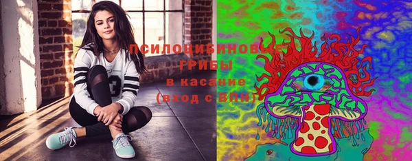 стаф Аркадак