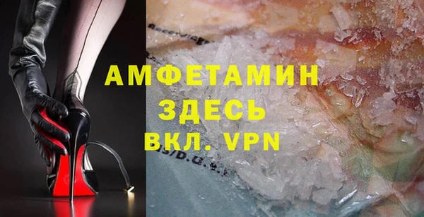 стаф Аркадак