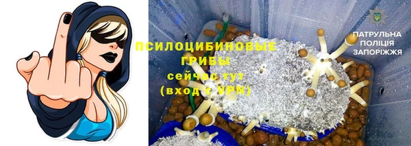 прущие грибы Арсеньев
