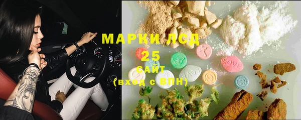 стаф Аркадак