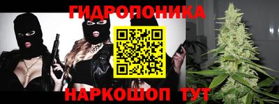 шишки Камышлов