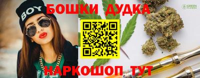 шишки Камышлов