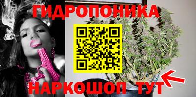 шишки Камышлов