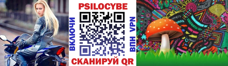 Галлюциногенные грибы Psilocybe  Менделеевск 